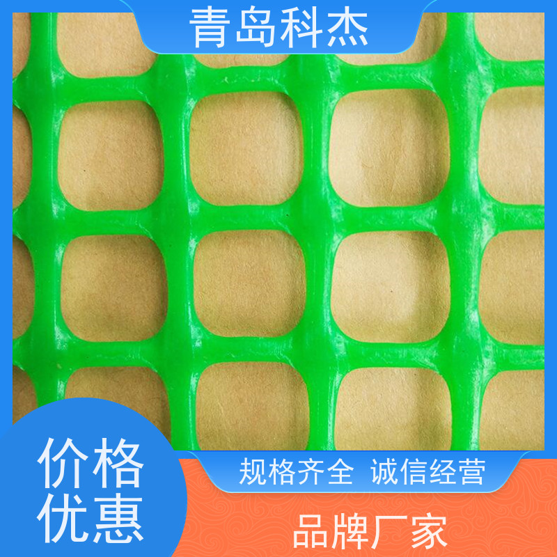 青岛科杰 国内直供 六角网孔塑料平网 绿植攀爬网设备 高效节能 全自动