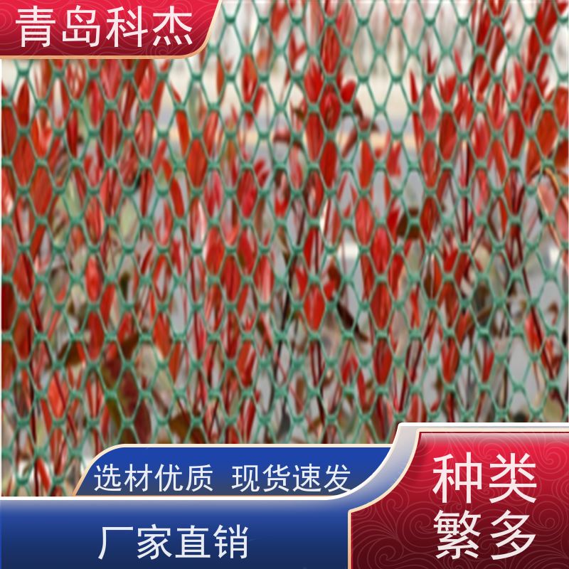 科杰 自主研发 养殖养鸭笼子脚垫六边形塑料网设备 生产速度快 全自动