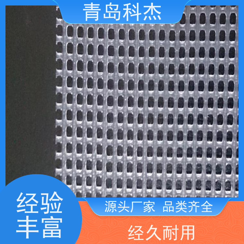 青岛科杰 产量稳定 菱形塑料网格设备 生产速度快 全自动