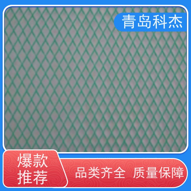 科杰 自主研发 绿化土工网 塑料平网 设备生产线 海内外 支持定制