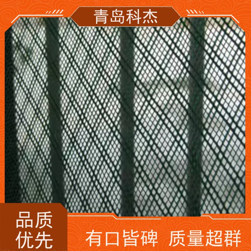 科杰 国内直供 六角网孔塑料平网 绿植攀爬网设备 抗压性强 全自动