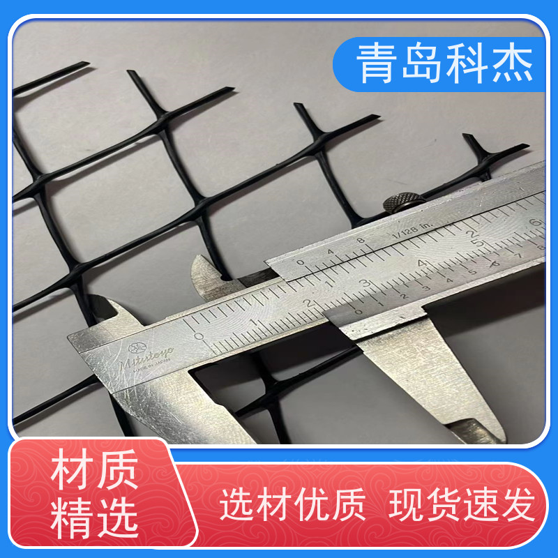 青岛科杰 自主研发 堤坝防护养殖畜牧塑料平网设备 产量稳定 全自动