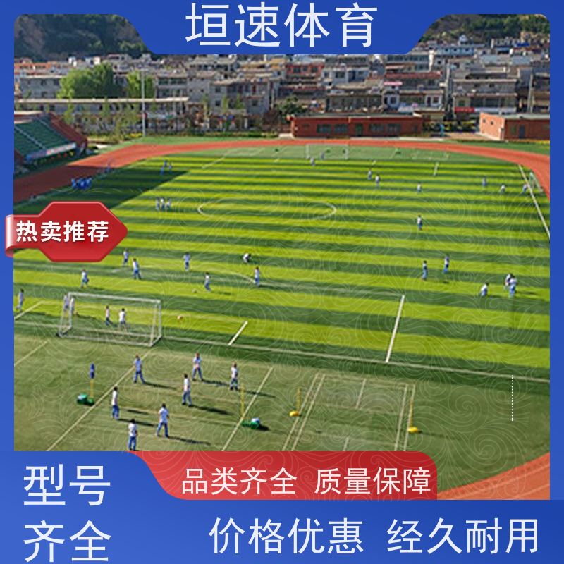 垣速 塑胶操场地板1000平方米 幼儿园室外地坪 运动球场跑道适应性强