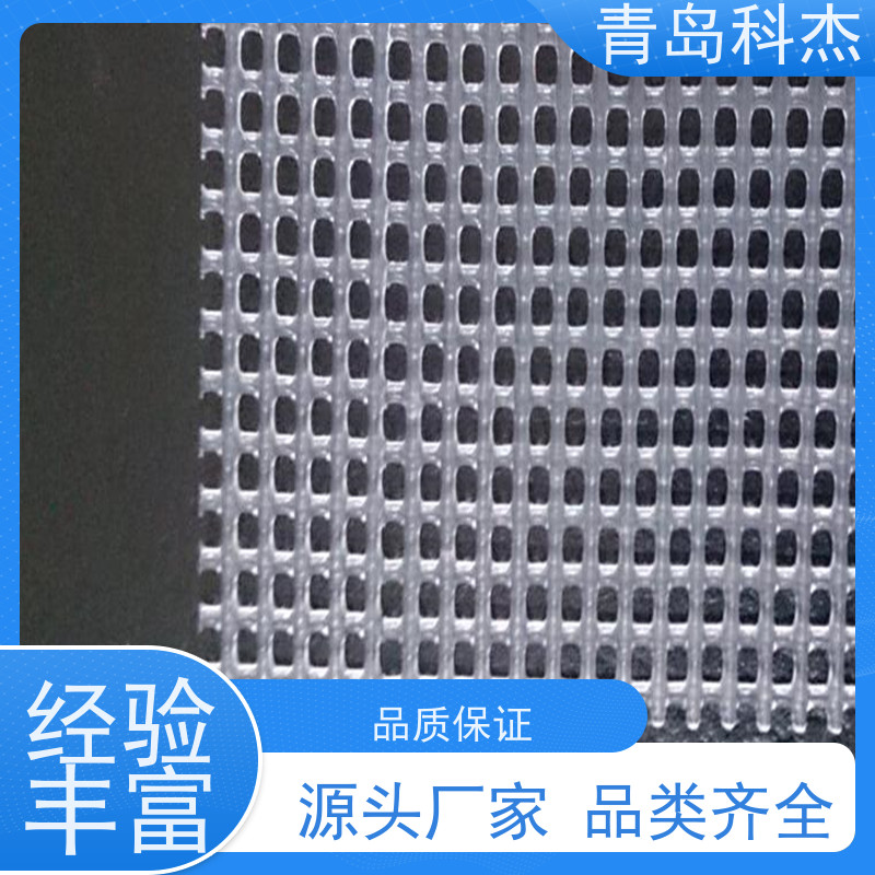 科杰塑机 自主研发 铺鸭棚地用塑料网设备 海内外 支持定制