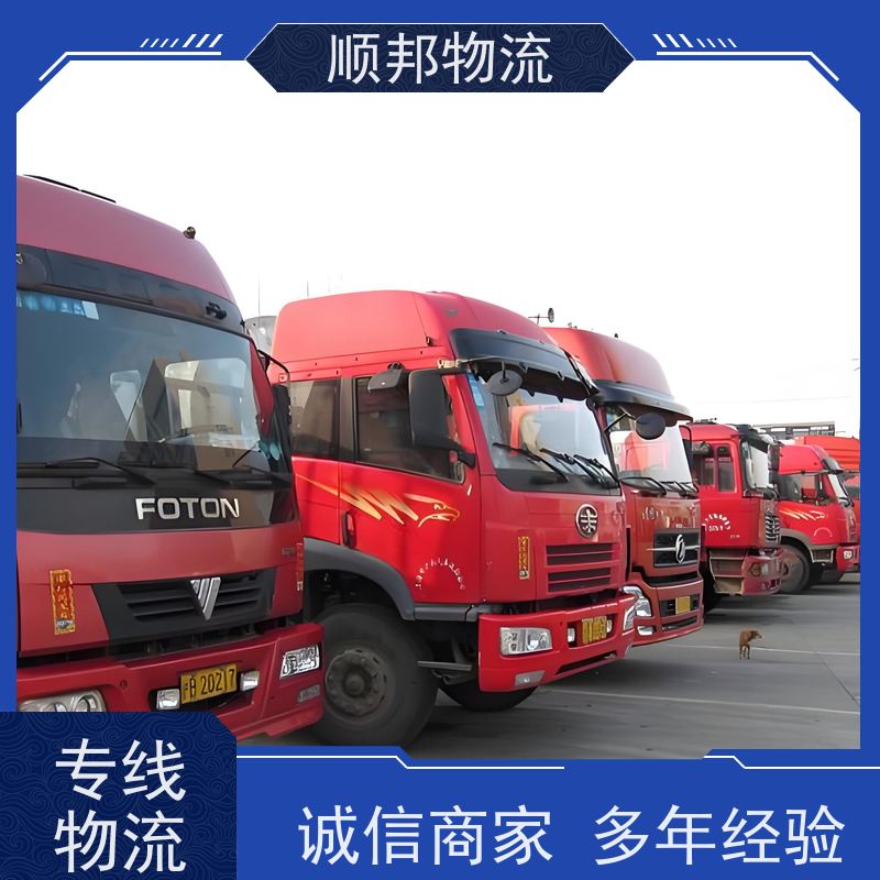 广州到冷链运输 随时接单专线打包回程车东莞