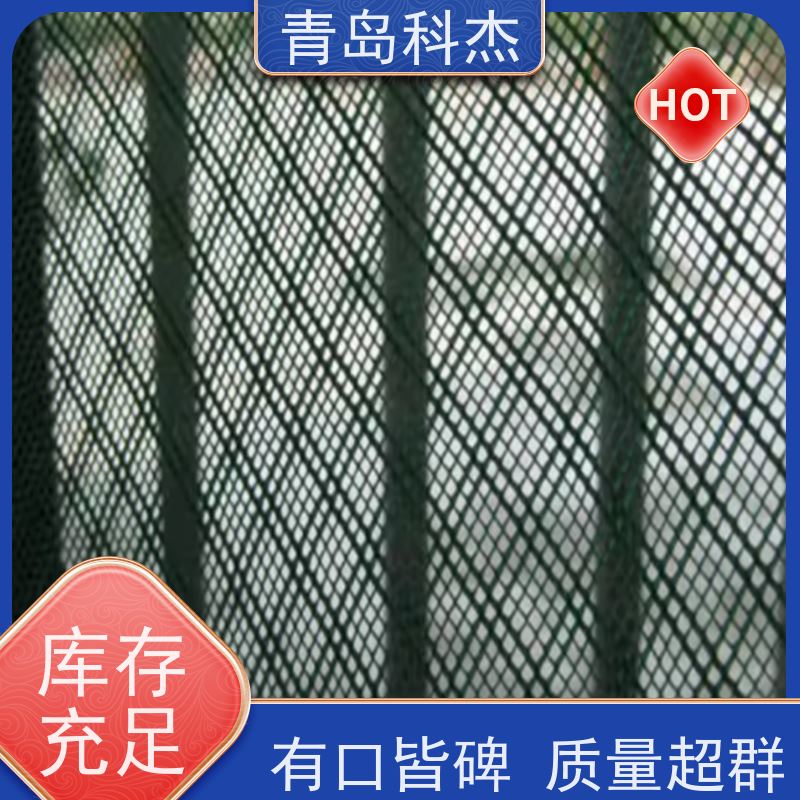 科杰 全国供应 塑料过滤网设备 效率高 性价比高