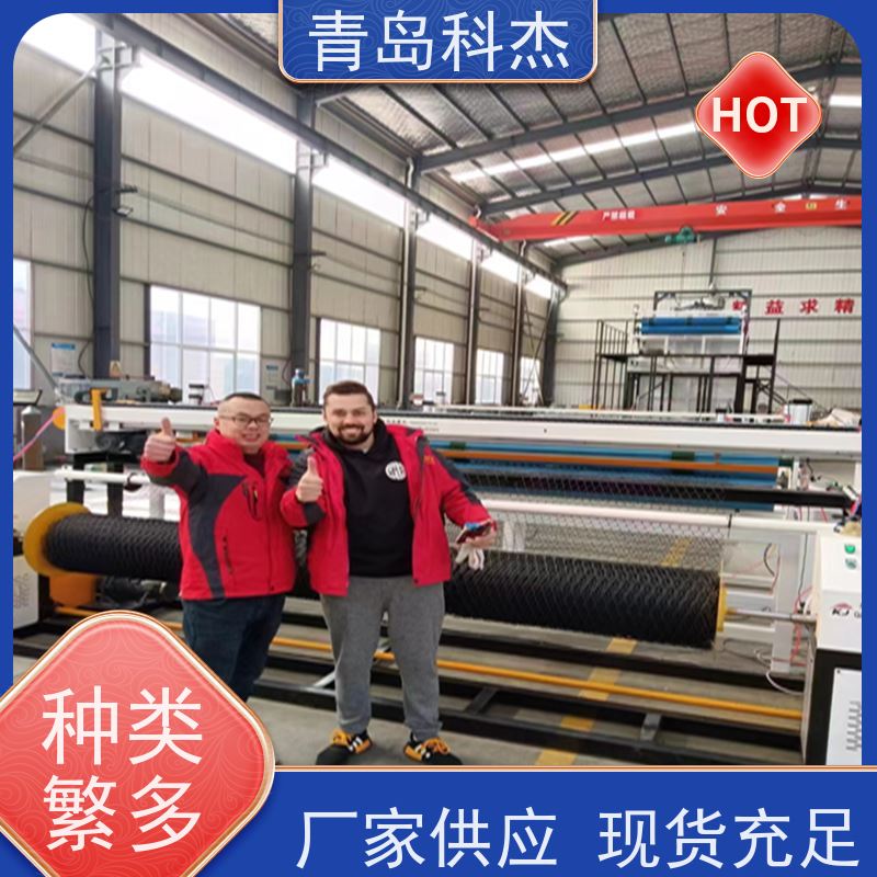 青岛科杰 自主研发 塑料蚊虫网过滤网设备 产量稳定 全自动