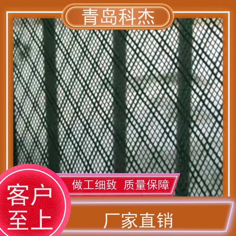 科杰塑机 可连续生产 塑料过滤网设备 产量高 支持定制