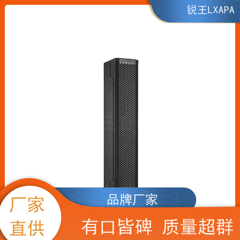 锐王LXAPA 数字功放 室内会议室音柱 12寸线阵音箱 礼堂音响设备