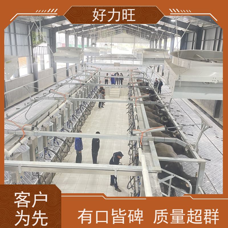 好力旺大型牧场用并列式鱼骨式挤奶机挤奶设备奶厅