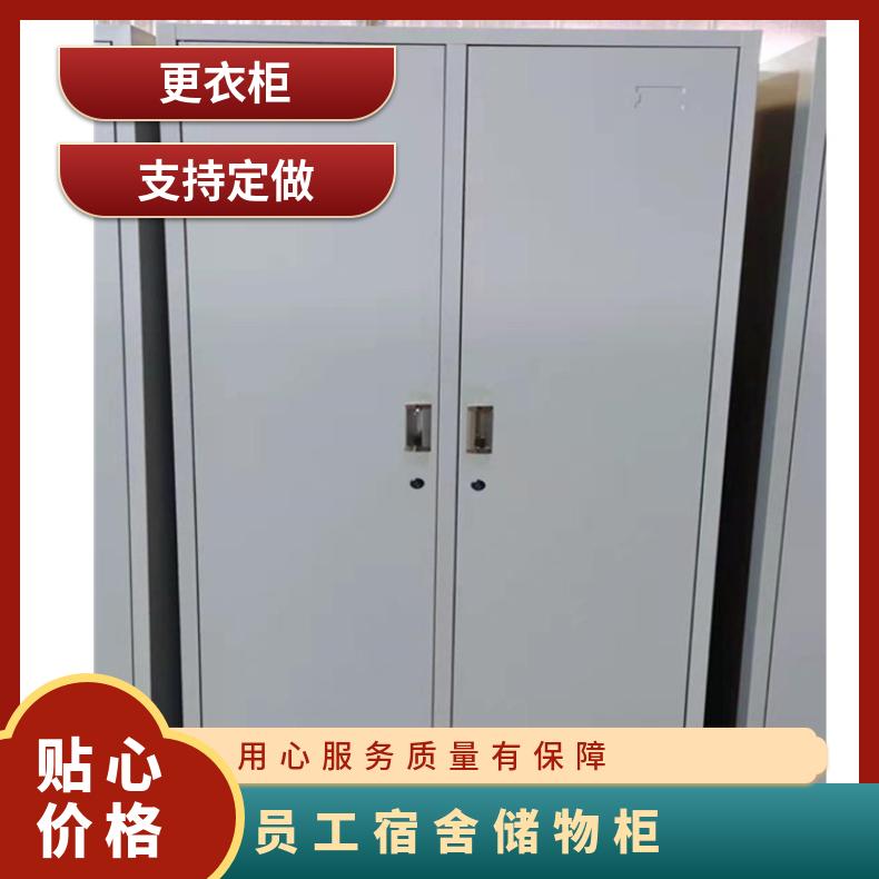 可多选 灰白色 两门更衣柜 优质冷轧钢 支持定做 简约 员工宿舍储物柜