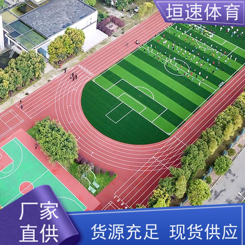 垣速 彩色塑胶颗粒 硅pu体育场地 幼儿园彩虹跑道适应性广