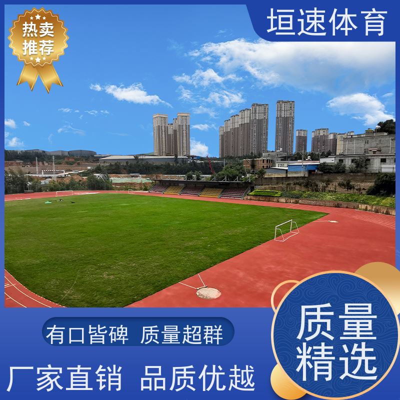 垣速 弹性塑胶颗粒 室外运动场地坪 幼儿园防滑地垫良好的排水性