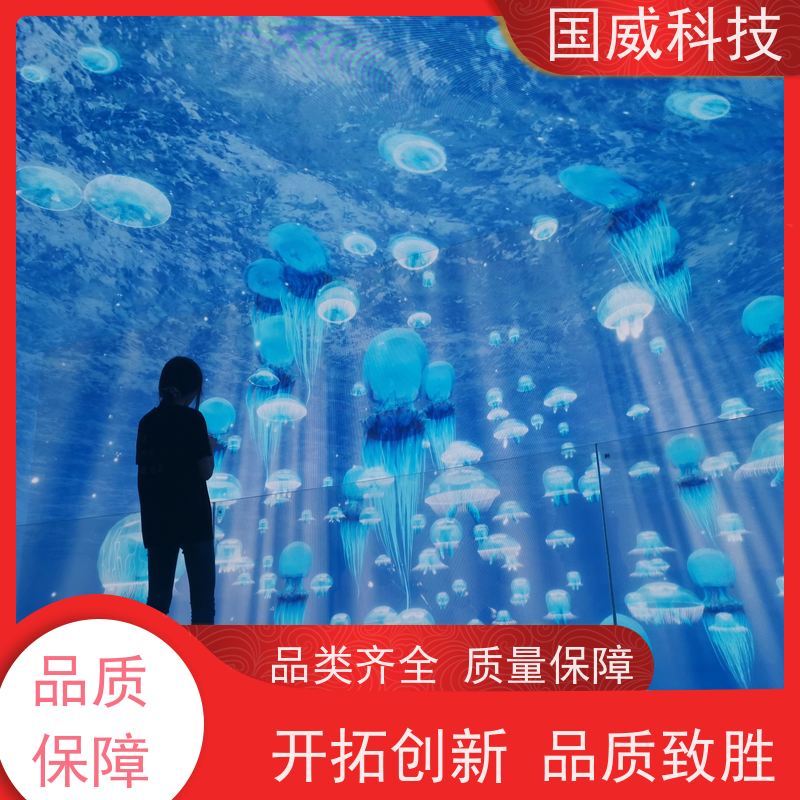 国威科技 亲子数字项目 飞越影院 梦幻 生产厂家