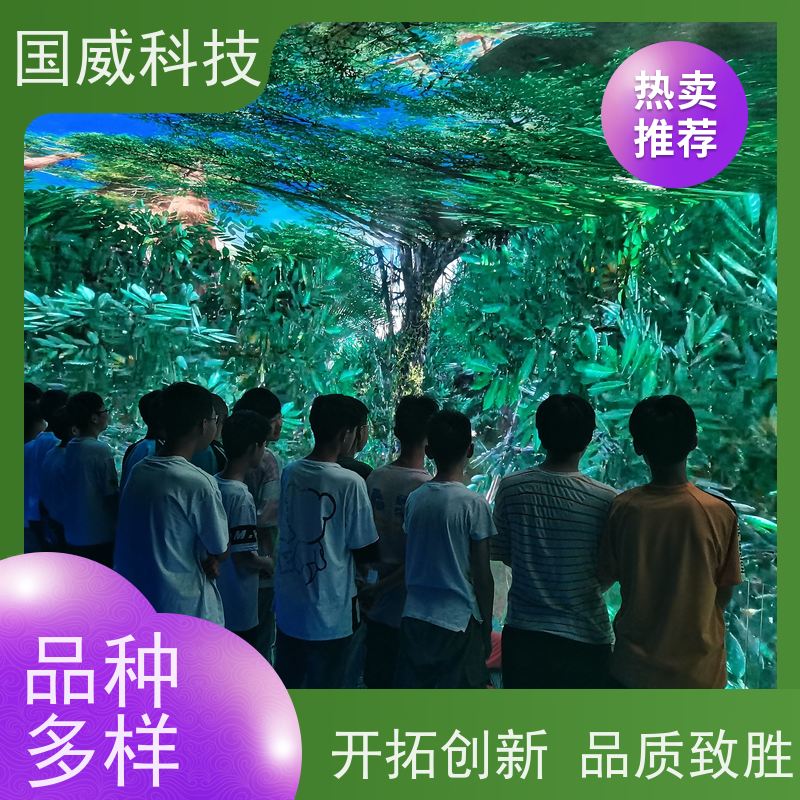 国威科技 裸眼空间建设 轨道影院 创新 品牌供应