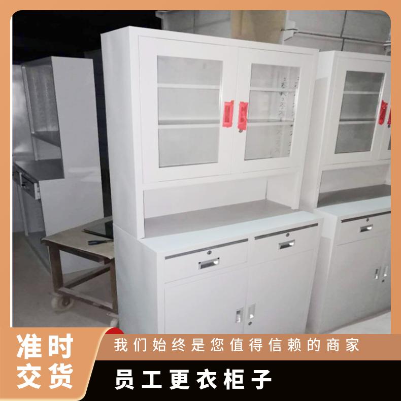 浩安特柜业 玻璃铁皮文件柜 静电喷涂 防潮 办公家具 员工更衣柜子