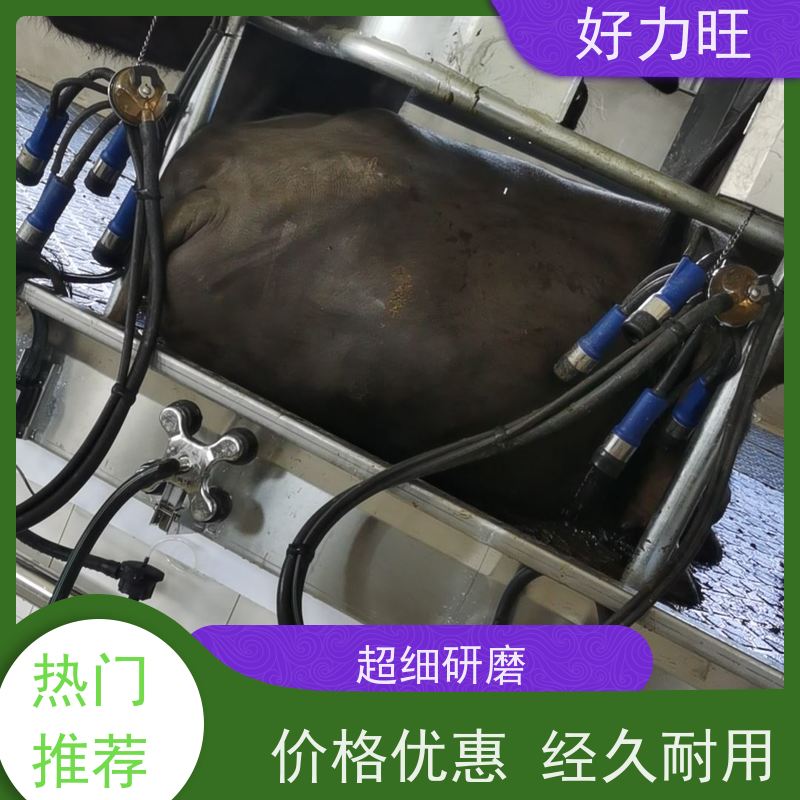 好力旺大型牧场用并列式鱼骨式挤奶机挤奶设备奶厅