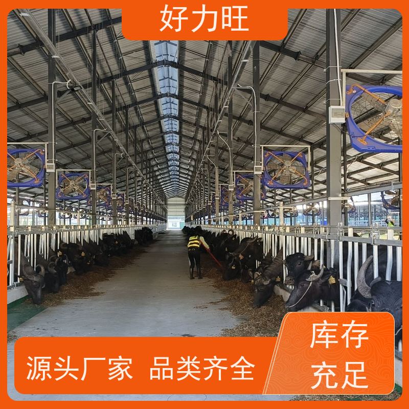 加工定制牛颈枷 采食防疫进食用牛羊颈枷 加厚热镀锌管 防腐耐用