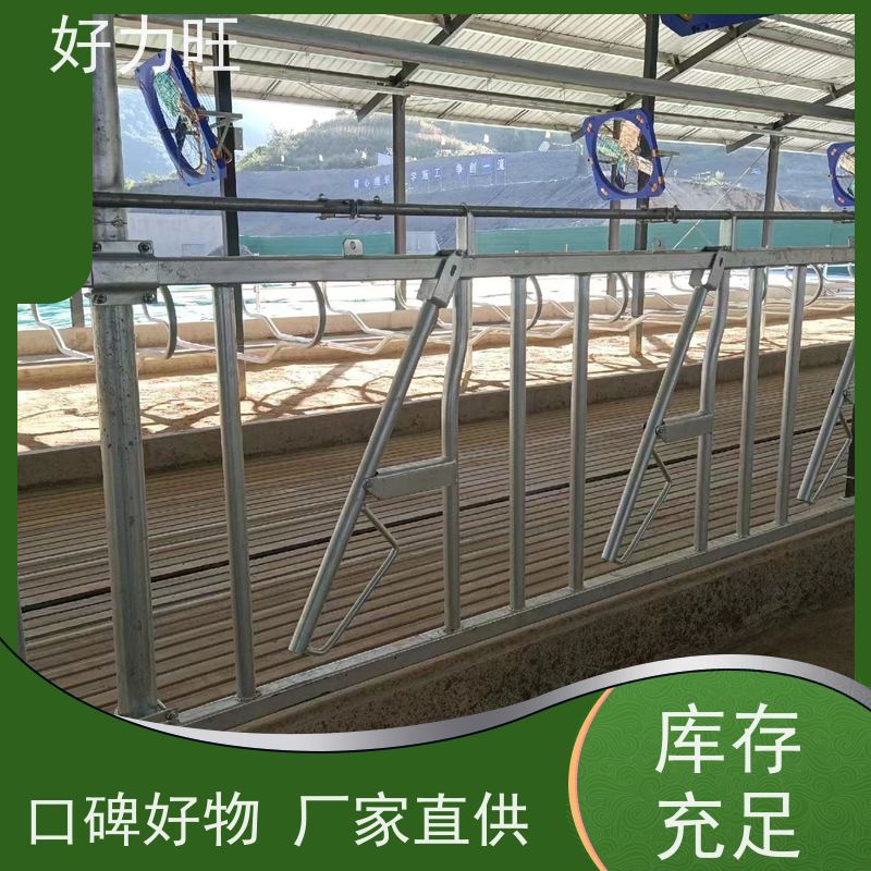 牛场牛颈枷 基建设备热镀锌牛颈夹可定制 好力旺