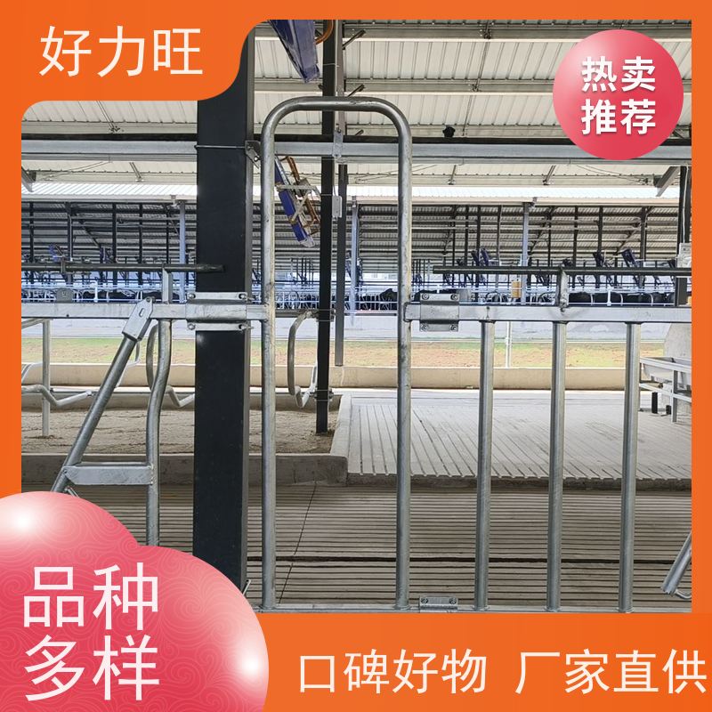 畜牧用牛颈枷 好力旺 降低工作人员的难度 有利于防疫配种