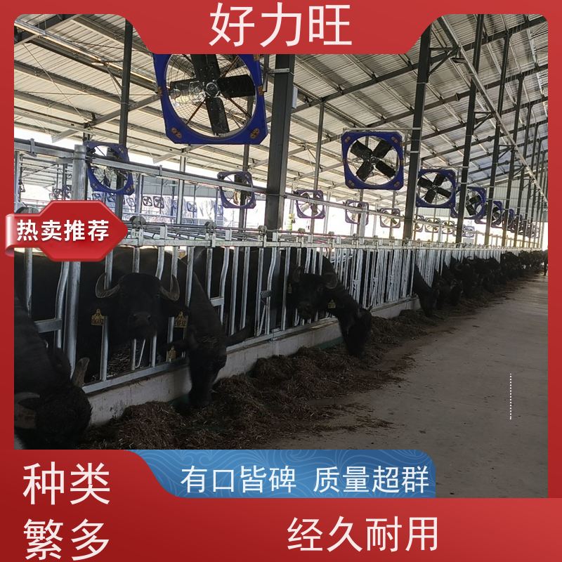 养殖牛颈枷 热镀锌固定牛只牛卡脖 双开牛颈夹 定制羊颈枷