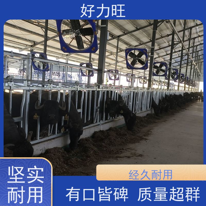 6米8位牛颈枷 固定牛采食防止牛打架牛用定位栏设备 自锁式牛颈夹