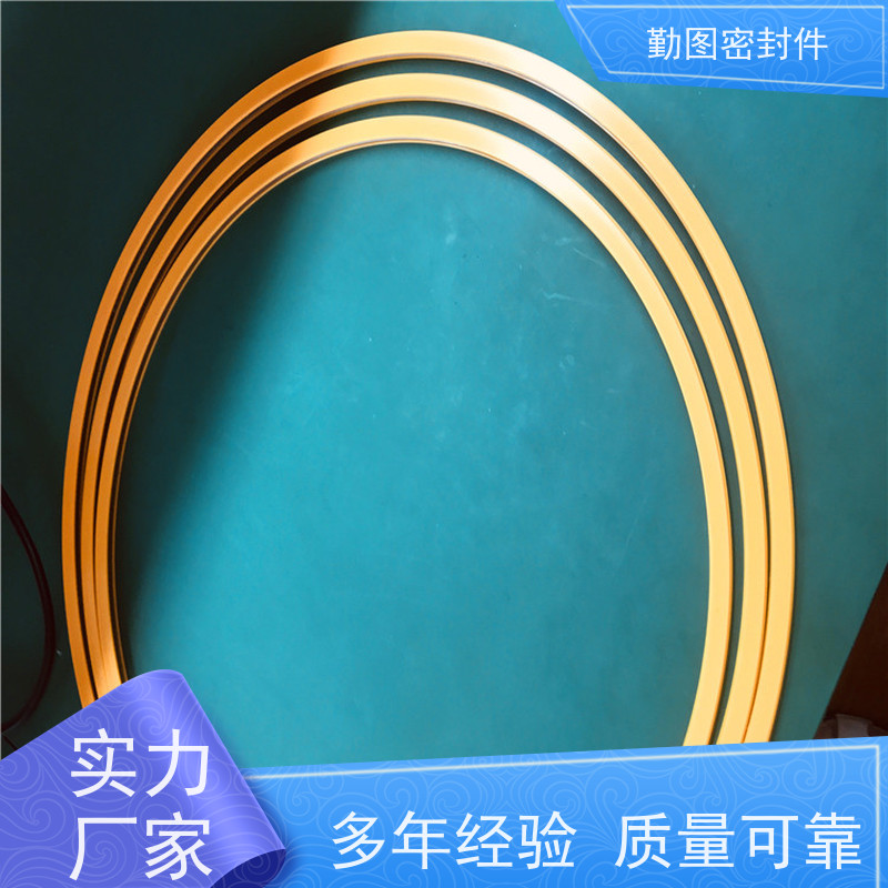  液化汽鹤管主密封圈 石油化工领域应用广泛 非标定制