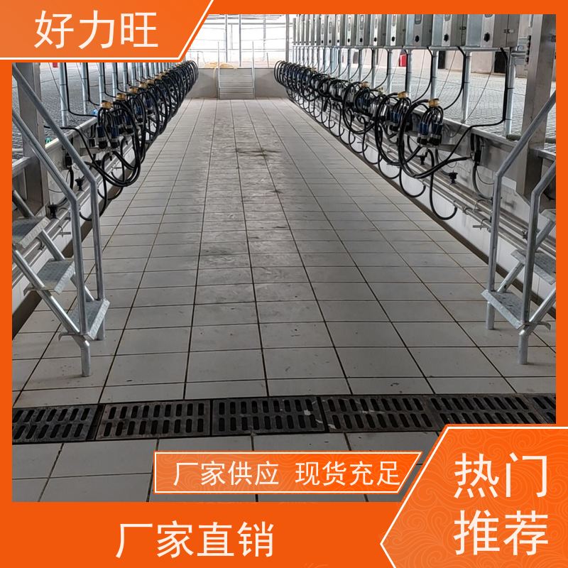 智能自动鱼骨式手推式挤奶机 家用动物奶牛场中置式吸奶机