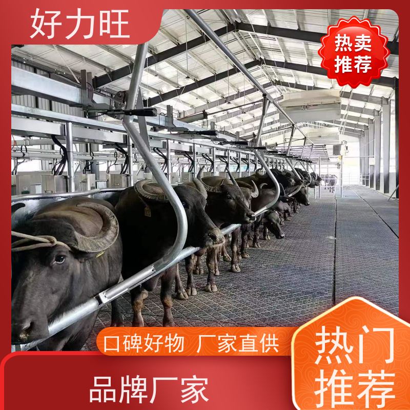 手推式挤奶机 适合小型家庭牧场 养奶牛挤奶设备 好力旺定制加工
