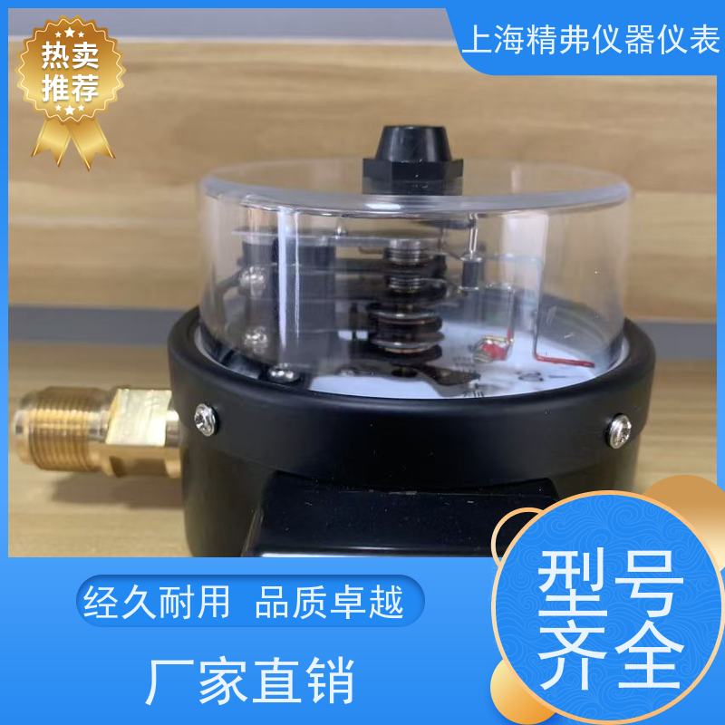 精弗仪器仪表 径向安装 直径100 高精度 外观精美