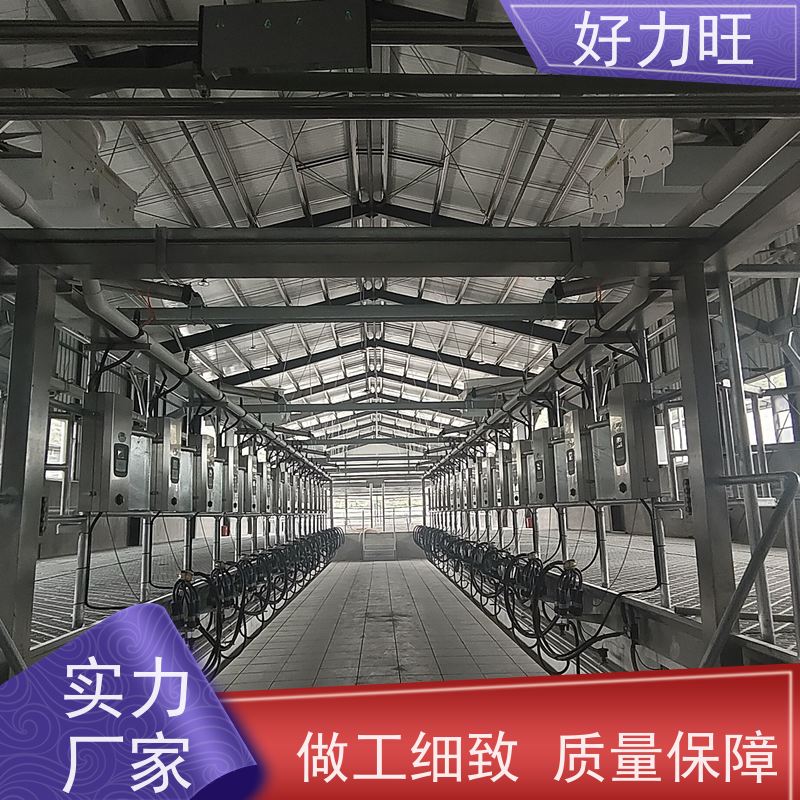 好力旺 鱼骨式挤奶机大型奶牛场养殖场 牧场整体设备