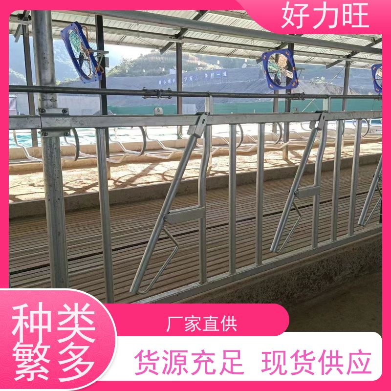 养殖场自锁式热镀锌防止抢食打架全套加厚牛颈枷 好力旺
