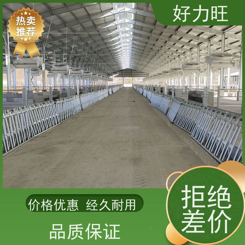牛颈枷 牛颈夹牛场用基础设备 自锁式 热镀锌材质 好力旺可定制