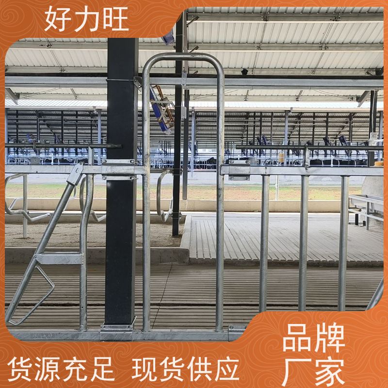 牧场设备热镀锌牛颈枷尺寸 牛用自锁式牛颈夹生产厂家 纳兰农牧