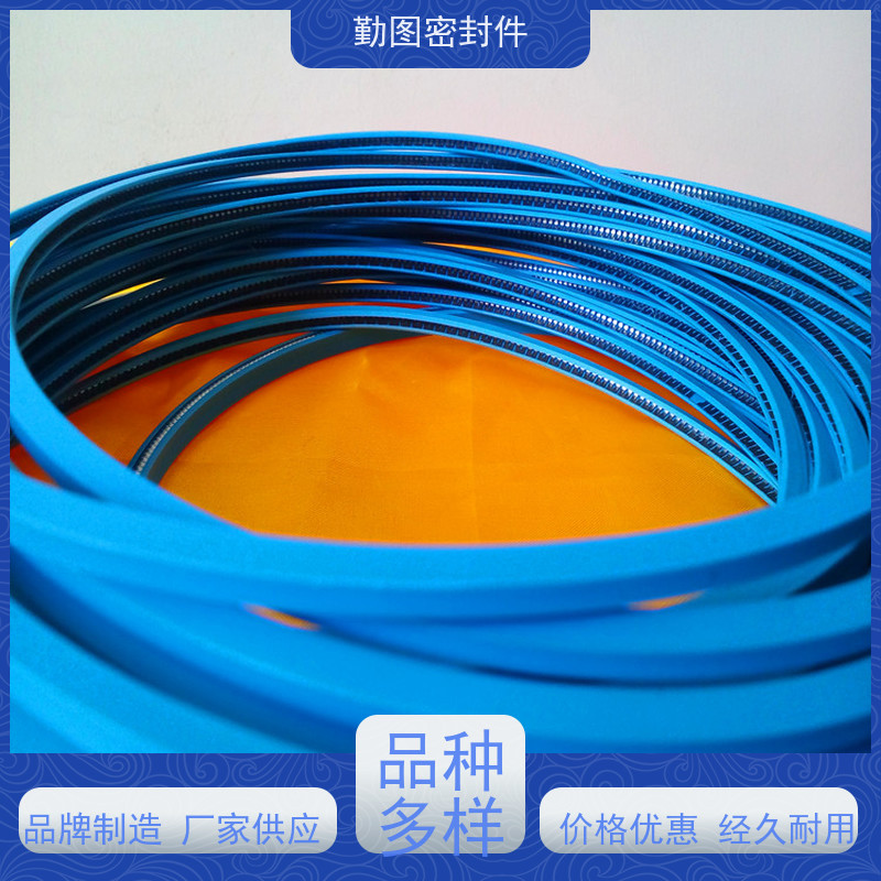  LNG装卸臂密封圈 广泛应用于压力容器等领域 易于清洗和维护