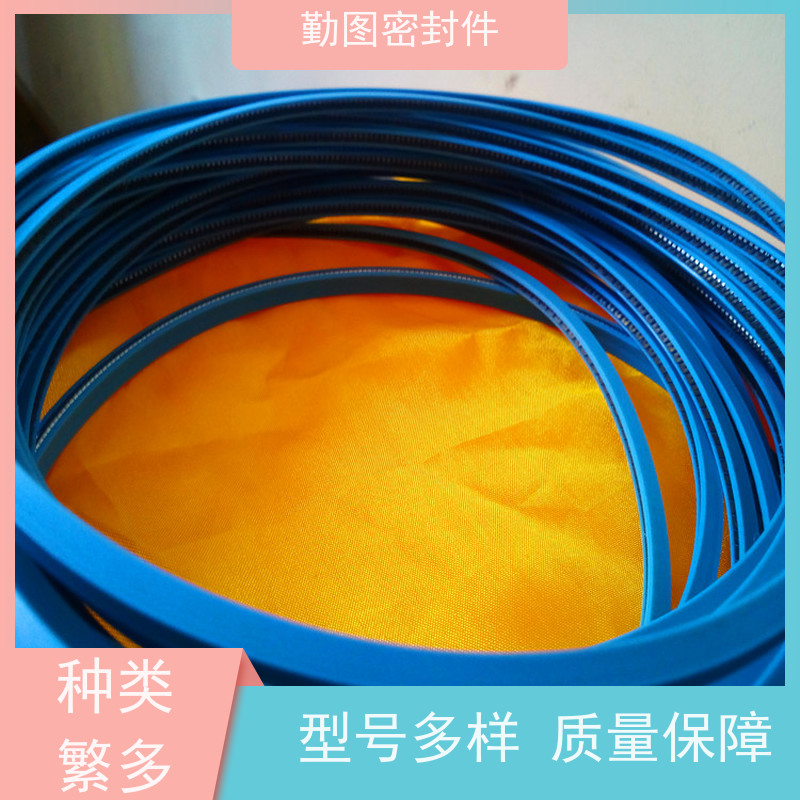  端面泛塞圈 广泛应用于压力容器等领域 非标定制