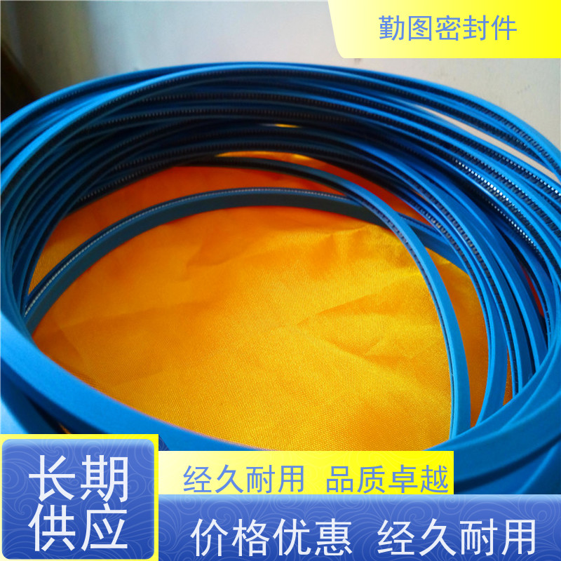  端面泛塞圈 降低系统的运行振动和噪声 支持定制