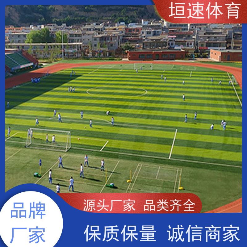 垣速 弹性pu运动场200㎡ 室外运动场地坪 田径场跑道抗污易洁
