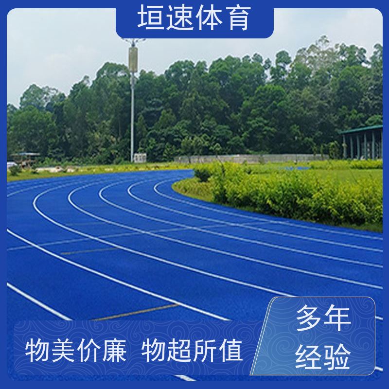 垣速 儿童弹性地垫 学校运动场地坪 幼儿园epdm塑胶无缝拼接