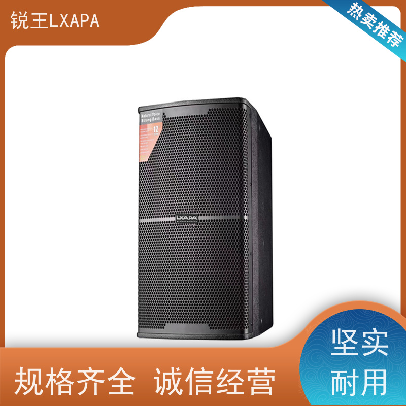 锐王LXAPA 扩声音响 会议音柱功放 适用于剧院 声柱音箱