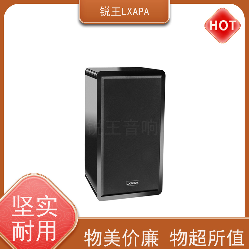 锐王LXAPA 低频饱满 小线阵音箱 会议音柱功放 酒吧音响设备