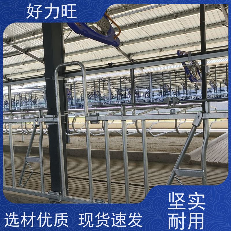 奶牛场基础围栏 畜牧用牛颈枷 6米8位自锁式固定牛头架子