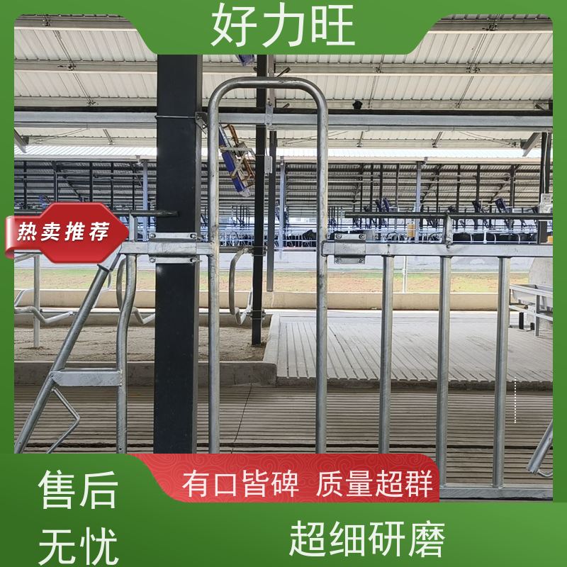 自锁式牛颈枷 好力旺 畜牧养殖饲喂 规范采食时间 防止抢食