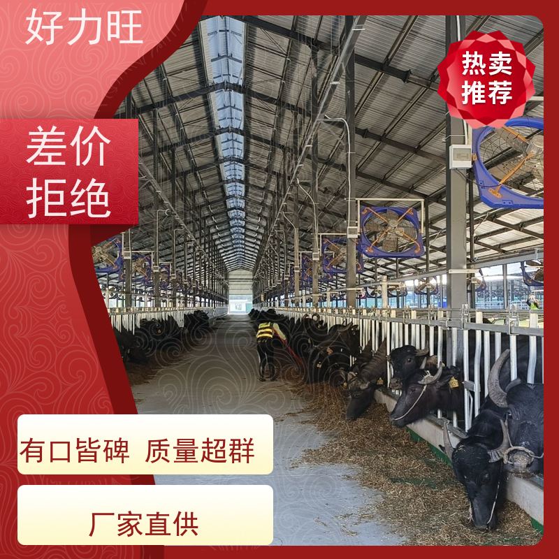 热镀锌牛颈枷 好力旺 牢固耐用防止脱落 畜牧养殖饲喂