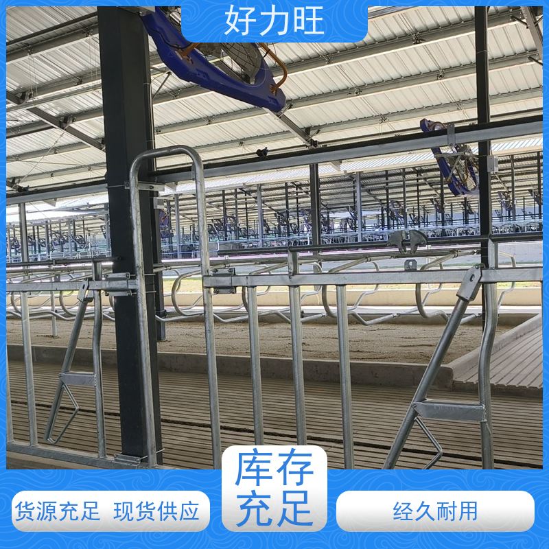 加厚镀锌管牛颈枷 自由进出采食 可根据牛的品质和体格定做