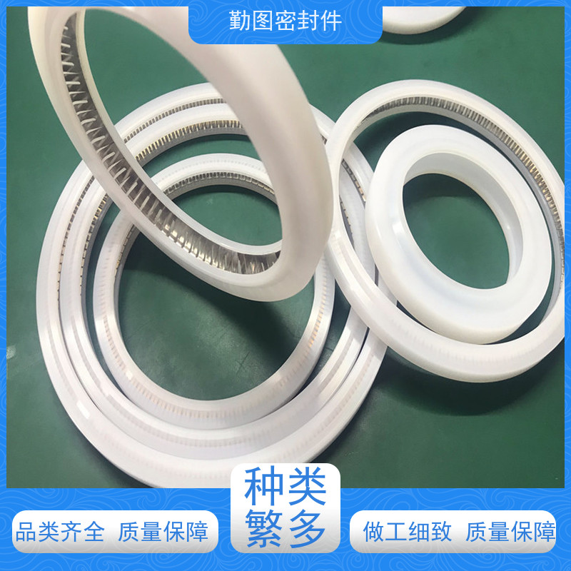  温蓄能泛塞封 耐腐蚀和自紧密封性能强 满足卫生和安全要求