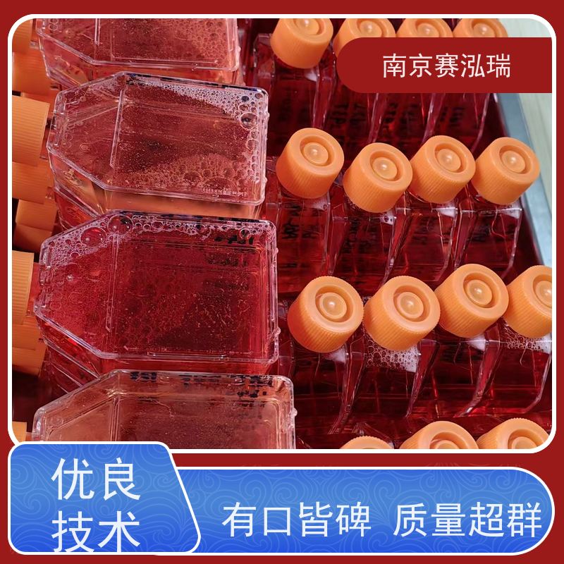 细胞保藏中心 活性高 代数低 MC38+LUC细胞 提供鉴定 ATCC