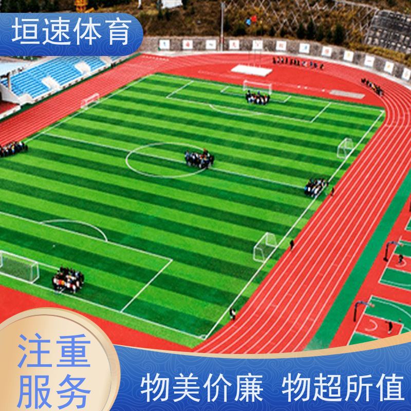 垣速 儿童弹性地垫 epdm塑胶运动场 彩色操场跑道抗拉伸性好