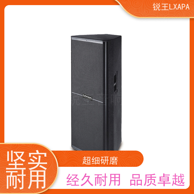 锐王LXAPA 小型演出用 双10寸线阵音箱 音柱 会议系统音响设备