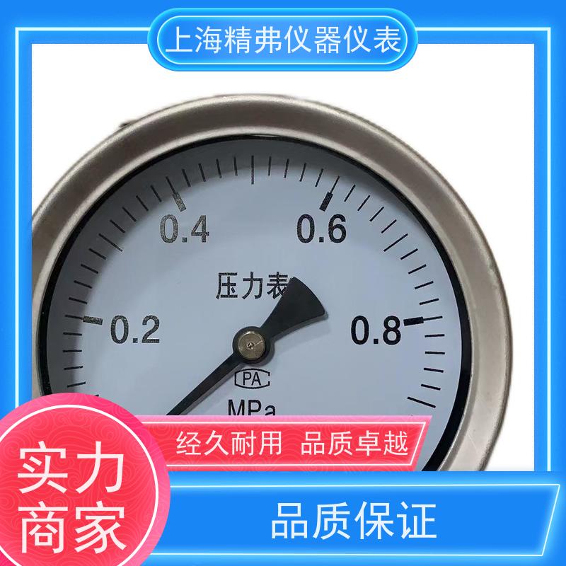 精弗仪器仪表 直径100 性能稳定 结实可靠 不锈钢